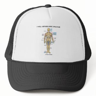 A Well-Defined Bone Structure (Human Skeleton) hat