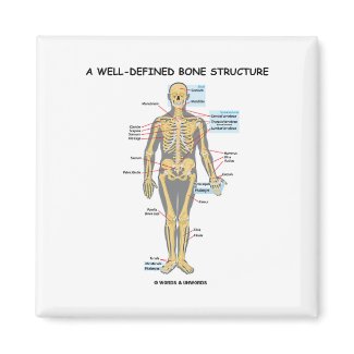A Well-Defined Bone Structure (Human Skeleton) magnet