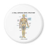 A Well-Defined Bone Structure (Human Skeleton) Magnets