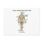A Well-Defined Bone Structure (Human Skeleton) Postcards