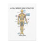 A Well-Defined Bone Structure (Human Skeleton) Post Cards