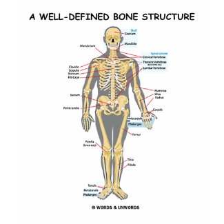A Well-Defined Bone Structure (Human Skeleton) shirt