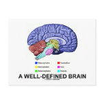 A Well-Defined Brain (Anatomical Brain Humor) Post Card