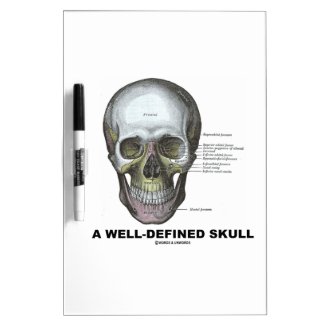 A Well-Defined Skull (Medical Anatomy) Dry Erase Board