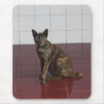 A West Borneo Cat Mousepad