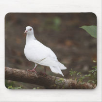 A West Borneo Dove Mouse Pads
