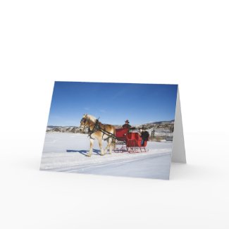 A Western Christmas - Horse Christmas Sleigh card