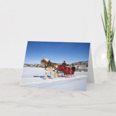 A Western Christmas - Horse Christmas Sleigh cards