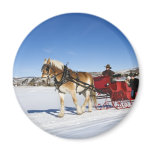 A Western Christmas - Horse Christmas Sleigh Magnets