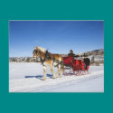 A Western Christmas - Horse Christmas Sleigh postcards by cutechristmasanimals A Western Christmas - Horse Christmas Sleigh postcards