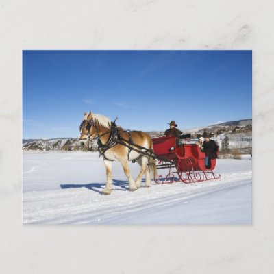 A Western Christmas - Horse Christmas Sleigh Post Cards