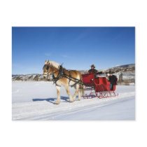 A Western Christmas - Horse Christmas Sleigh postcards