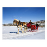 A Western Christmas - Horse Christmas Sleigh Post Cards
