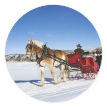 A Western Christmas - Horse Christmas Sleigh Round Stickers