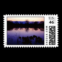 A Wet Year postage