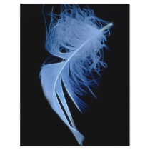 A whisper of a feather flyer