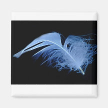A whisper of a feather fridge magnets
