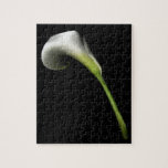 A White Calla Lily Puzzle