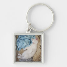 A white cat sleeping in a laundry basket, key chain