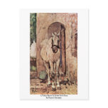 A White Horse In Front Of A Door Postcards