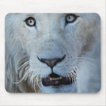 A white lion in Africa Mouse Pad