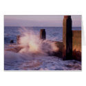 A WHITSTABLE WAVE cards