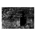 A Window Into the Past posters by bengotow A Window Into the Past posters