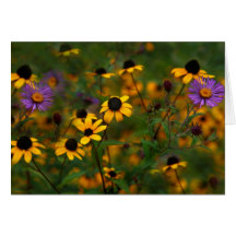 A windy Day Greeting Cards