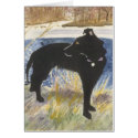 A Winter Day in the Park cards by blowell A Winter Day in the Park cards