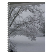 A WINTER DAY JOURNAL