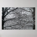 A Winter Scene posters