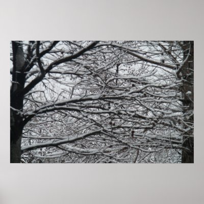 A Winter Scene Poster by mraiford