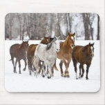 A winter scenic of running horses on The 2 Mousepad