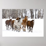 A winter scenic of running horses on The 2