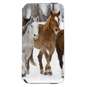 A winter scenic of running horses on The 2 Incipio Watson™ iPhone 6 Wallet Case