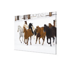 A winter scenic of running horses on The Stretched Canvas Print