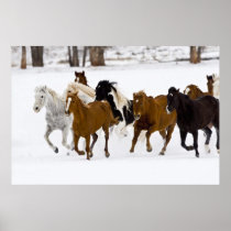 A winter scenic of running horses on The