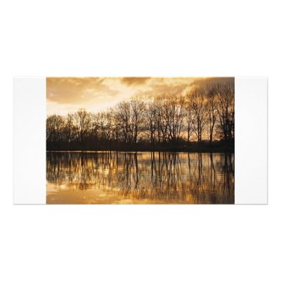 A winters afternoon on the River Thames Picture Card by davidreadphotography