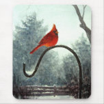 A Winters Day Mousepad