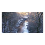 A winters day