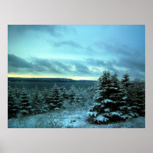 A Winter's Dream Poster