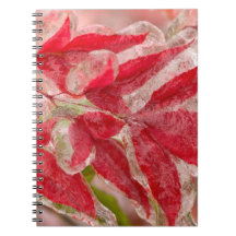 A winters ice storm covering the leaves of notebook