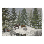 A Winter's Vue Cards