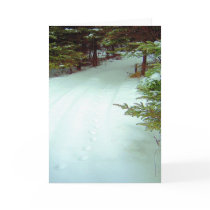 A Winter's Walk Greeting Card
