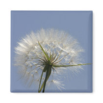 A wish flower magnets by Yarijik A wish flower magnets