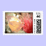 A wonderful Butterfly stamps