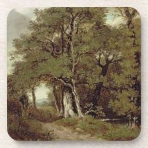 A Wooded Path Coaster