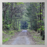 A Wooded Path Print