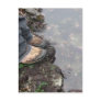 A World Below Postcard