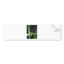 A World Complete Bumper Stickers